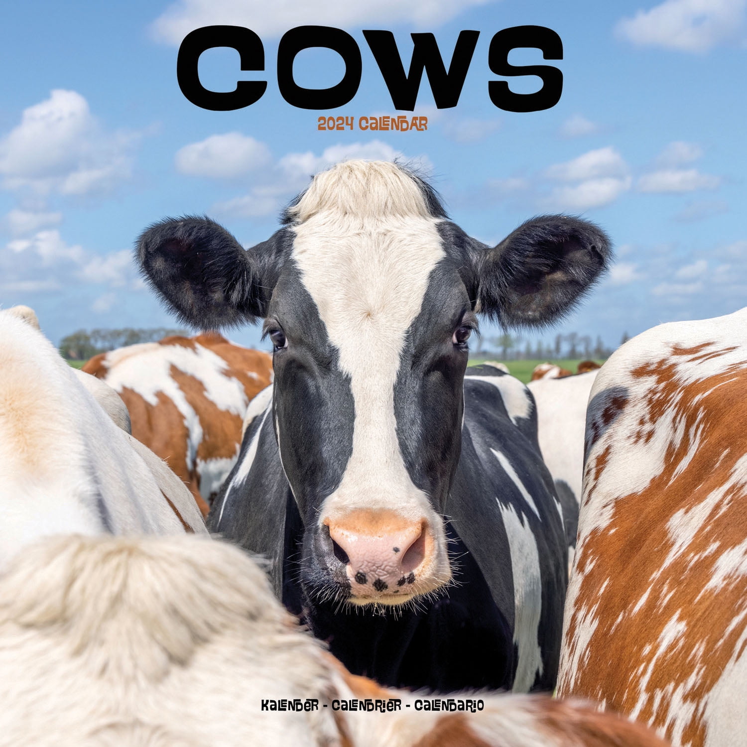 2024 Cows Wall Calendar Calendar Walmart Com   2024 Cows Wall Calendar Calendar 9781804601341 B03b08a2 Fcde 4e9f 86a4 Bef4dc1da896.f8a811f20fcf44cce5221f32c2c3de47 