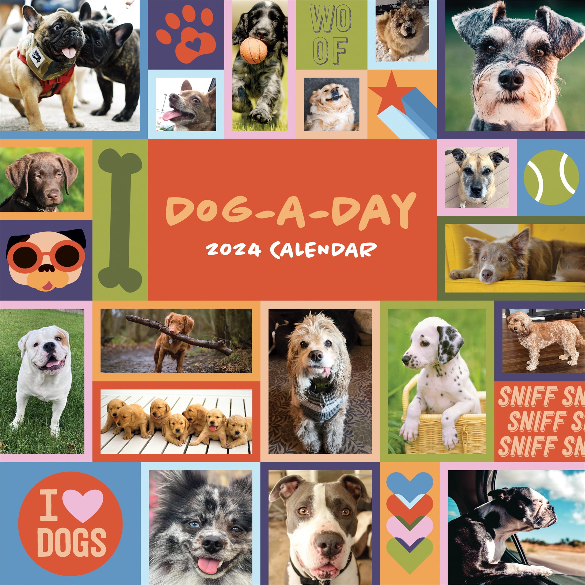 2024 DogADay Wall Calendar Multi