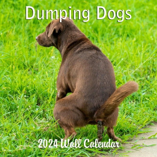 2024 Dumping Dogs Hilarious Pooping Crapping Dogs Monthly Wall Calendar