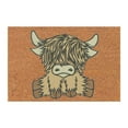 2024 Festival Theme Carpets Cow's Shaggy Doormat Themed Doormat
