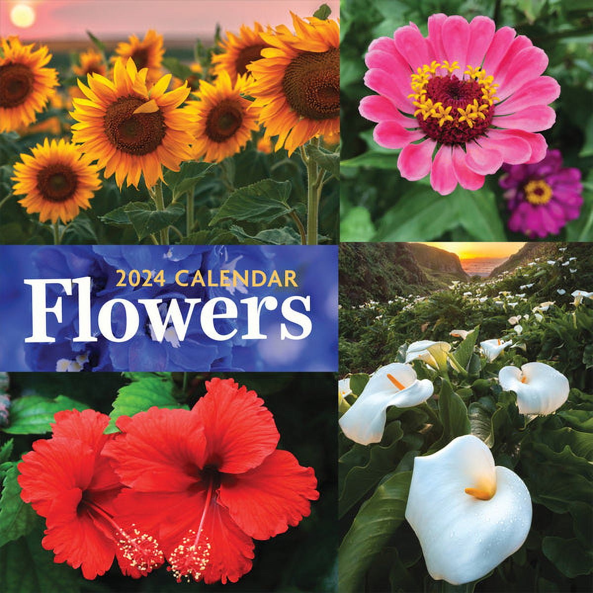 2024 Flowers Wall Calendar Multi