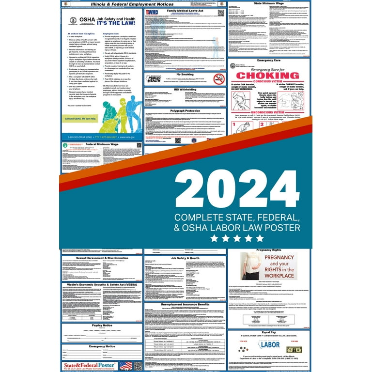Federal Minimum Wage 2024 Illinois Willy Julietta