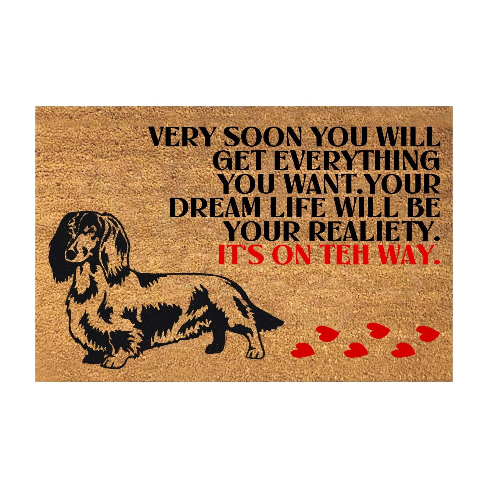 2024 NEW Fun Floor Mats Non Slip Kitchen Mats for Home Decoration Easy