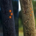 thumbnail image 1 of 2024 New 100pcs Reflective Pushpin Hunting Trail Markers and Signs Hunting Hiking Camping Thumbtacks for Hanging Trail Marking Pin Glow Thumb Pins Convenient Pin Reflective Tacks, 1 of 4