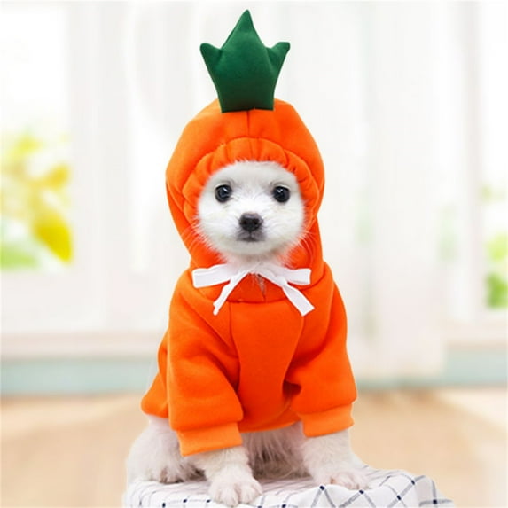 2024 New Dogs Cats Medium-Sized Dogs Dog Clothes Winter Warm Love and Velvet Two-Legged Puppy Clothes Boy Sweater Pet Clothes