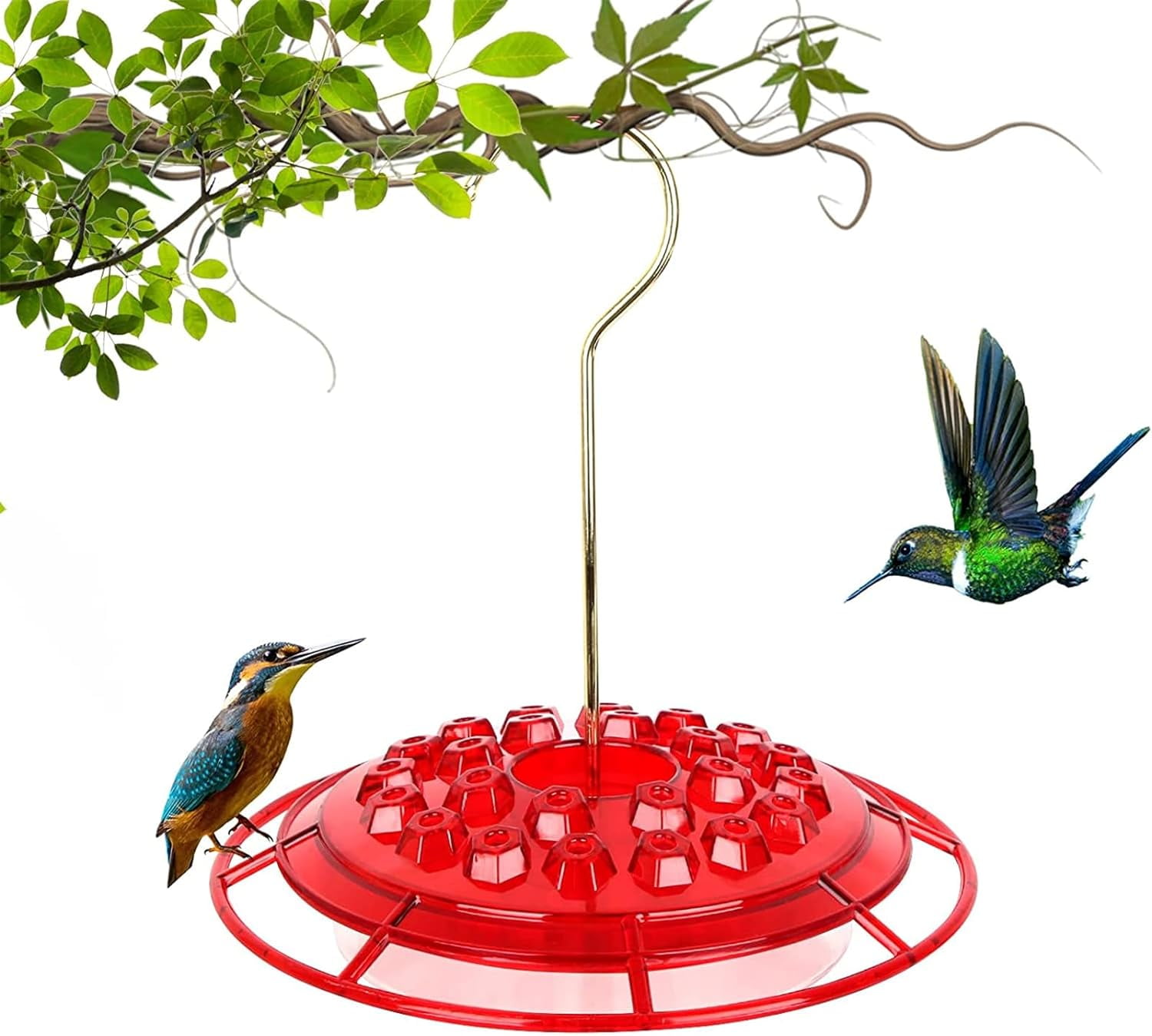 2024 New HeaCare Hummingbird Feeder Sweety Hummingbird Feeder ...