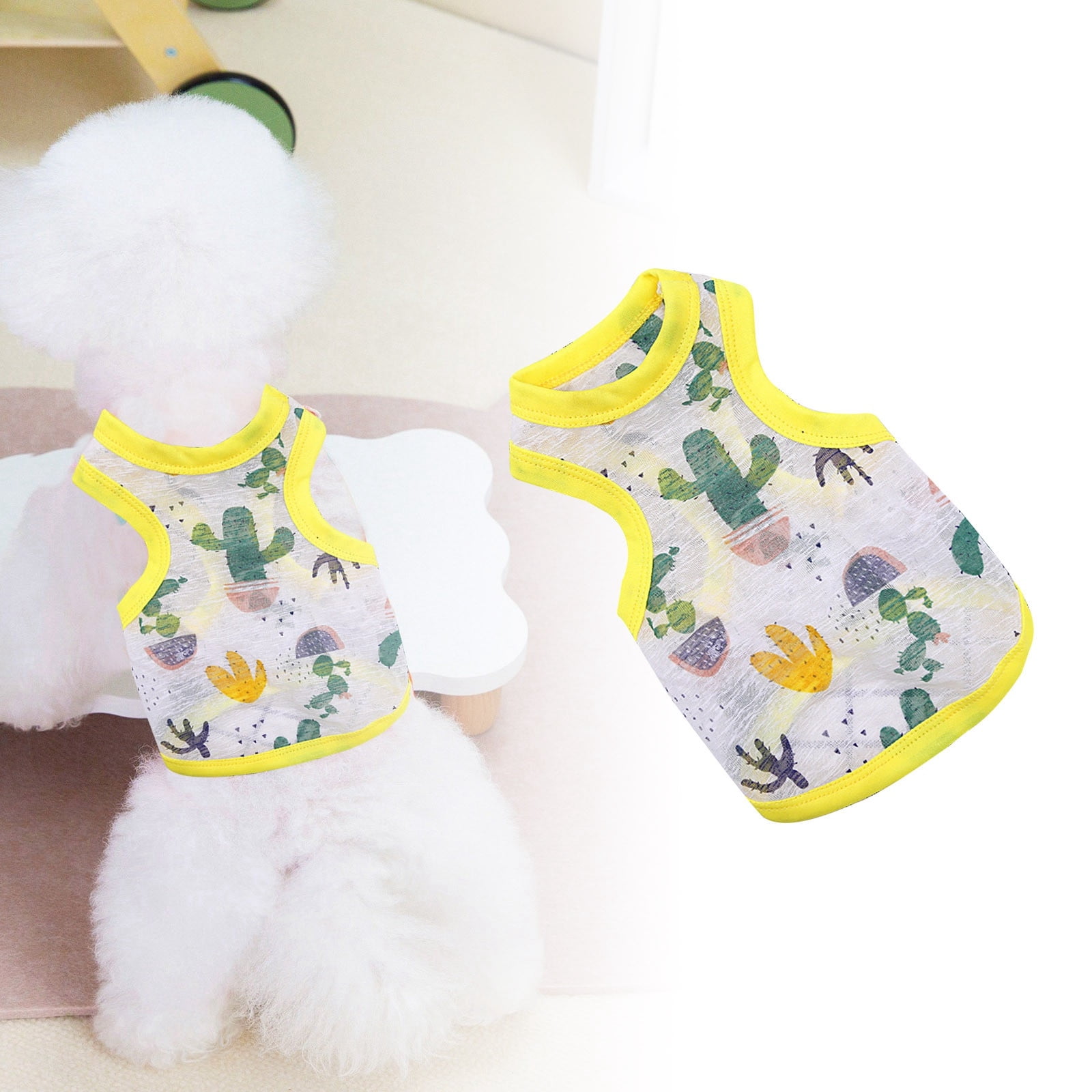 2024 New Make Every Day A Fashion Show Spoil Your Pet With Our Trendy