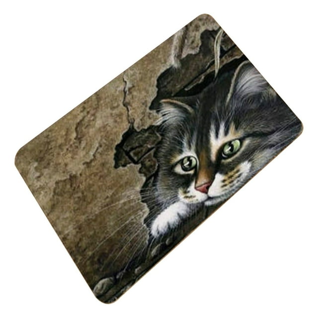 2024 New Releases Carpet Door Dog Mat Entrance Indoor Rubber