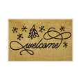 2024 New Releases Carpet Outside Door Mats For Front Door 23.6 X 15.7