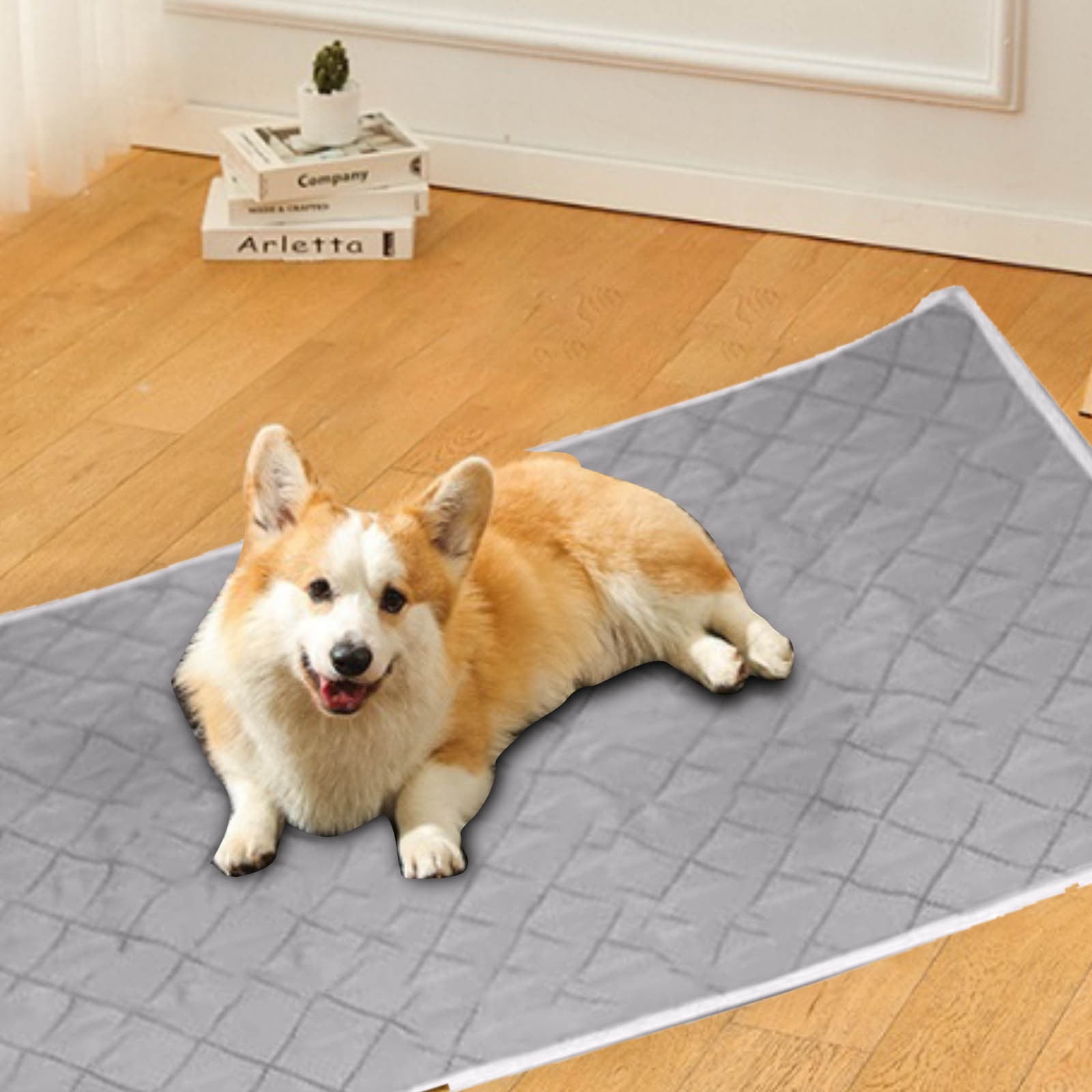 2024 New Releases Carpet Pet Pee Pad Repeatable Machine Washable Pee