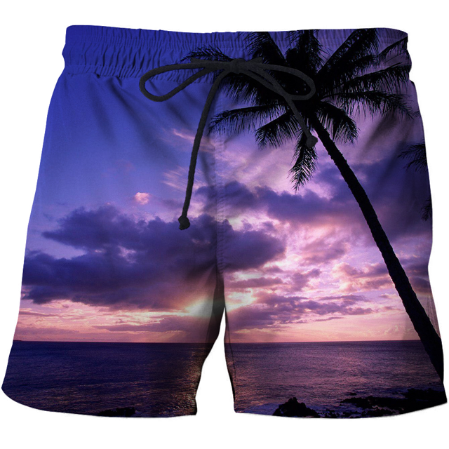 2024 New Summer Fish Quick Dry 3d Printed Men Swimwear Shorts Mens