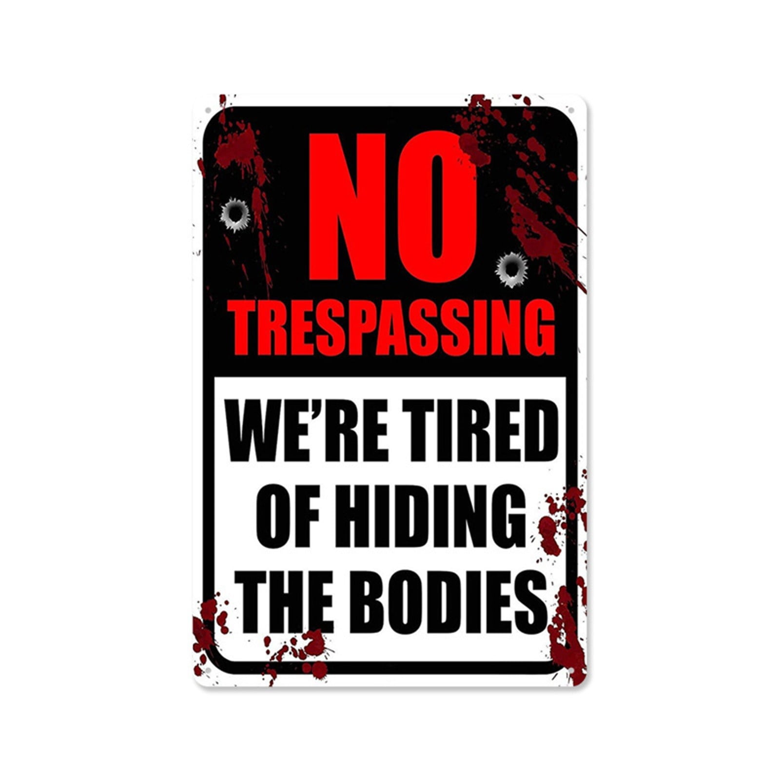 2024 No Trespassing Vintage Public Warning Sign Metal Painting Wall
