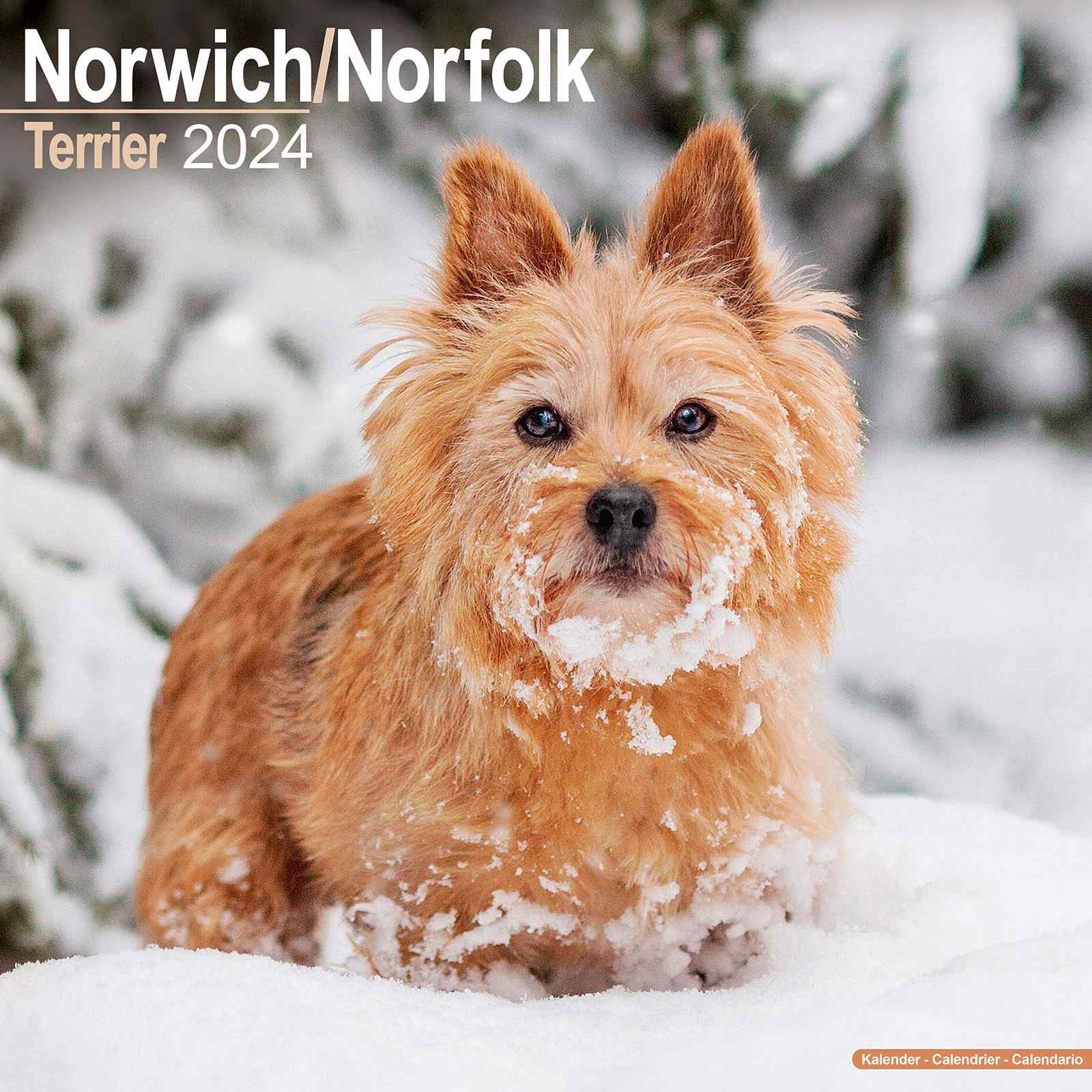2024 Norfolk/Norwich Calendar Monthly Wall Calendar 12 x 24 Open