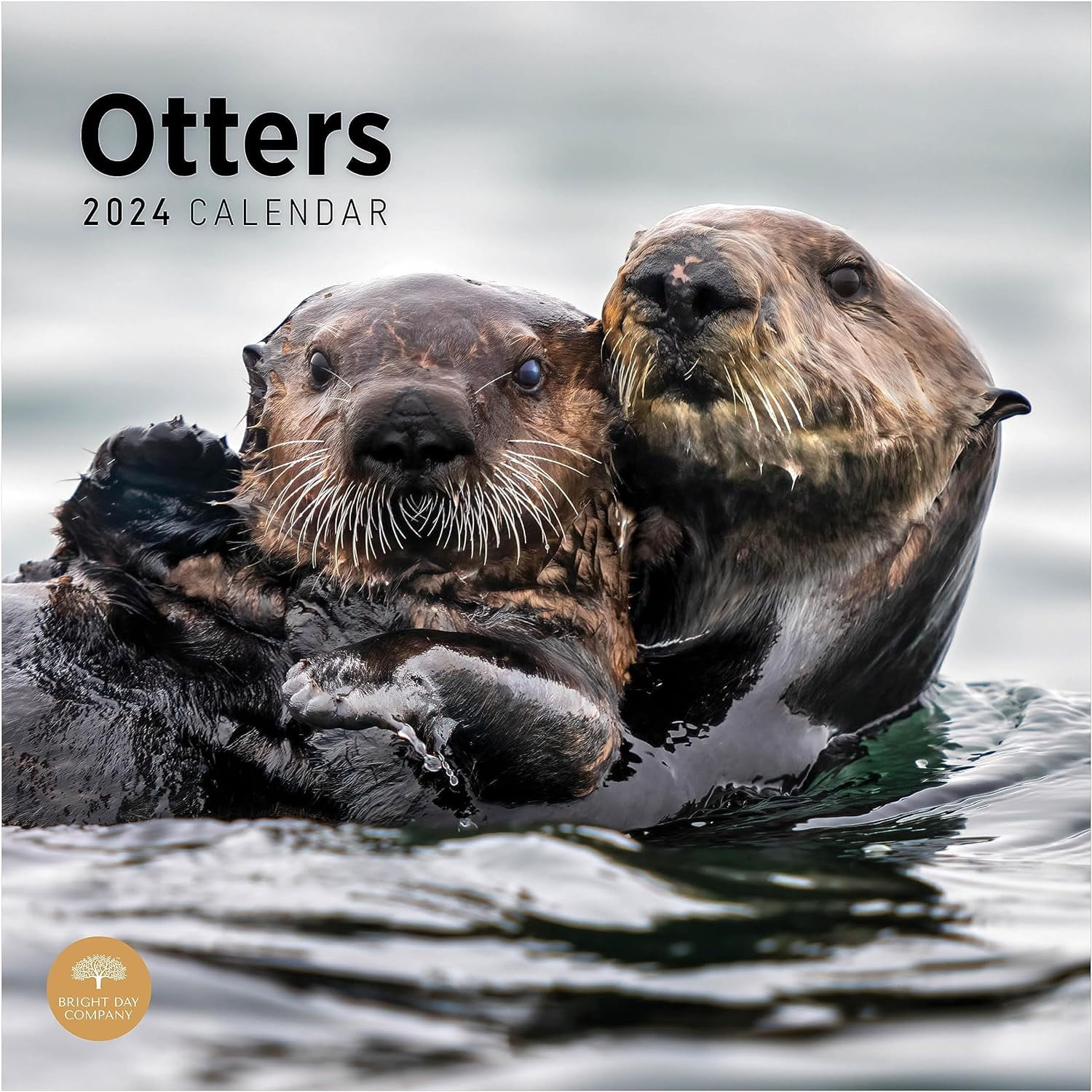 2024 Otters Monthly Wall Calendar by Bright Day, 12 x 12 Inch Cute