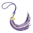 thumbnail image 1 of 2024 PURPLE / LTPINK GRADUATION TASSEL - EVERY SCHOOL COLOR AVAILABLE -MADE IN USA, 1 of 5