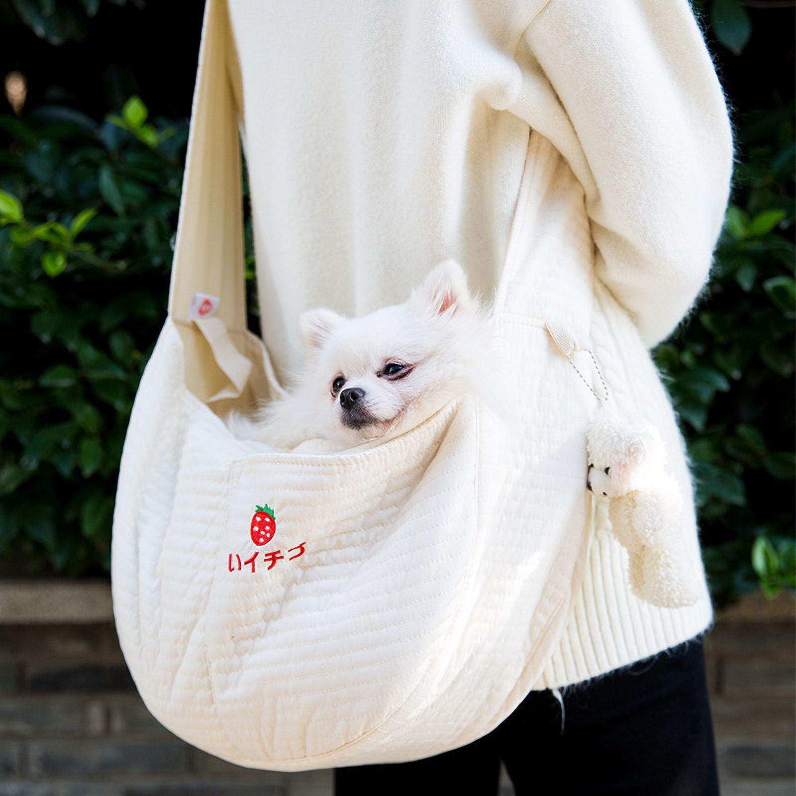 Kitten carry bag hotsell