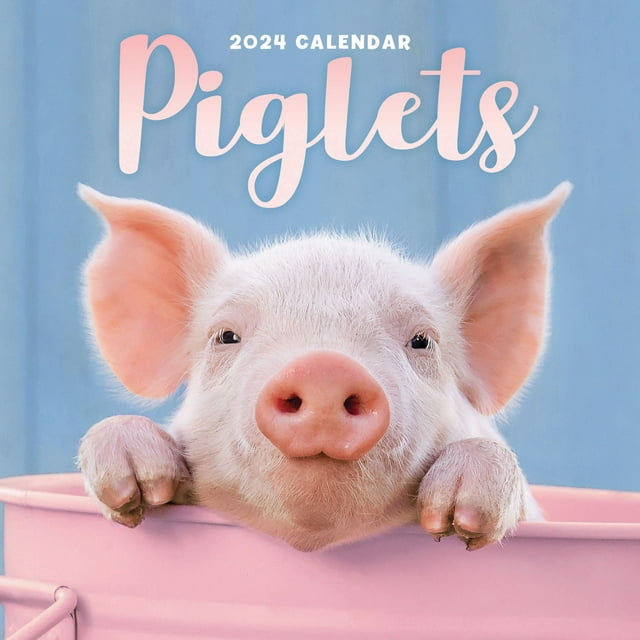 2024 Piglets Mini Wall Calendar (Calendar)