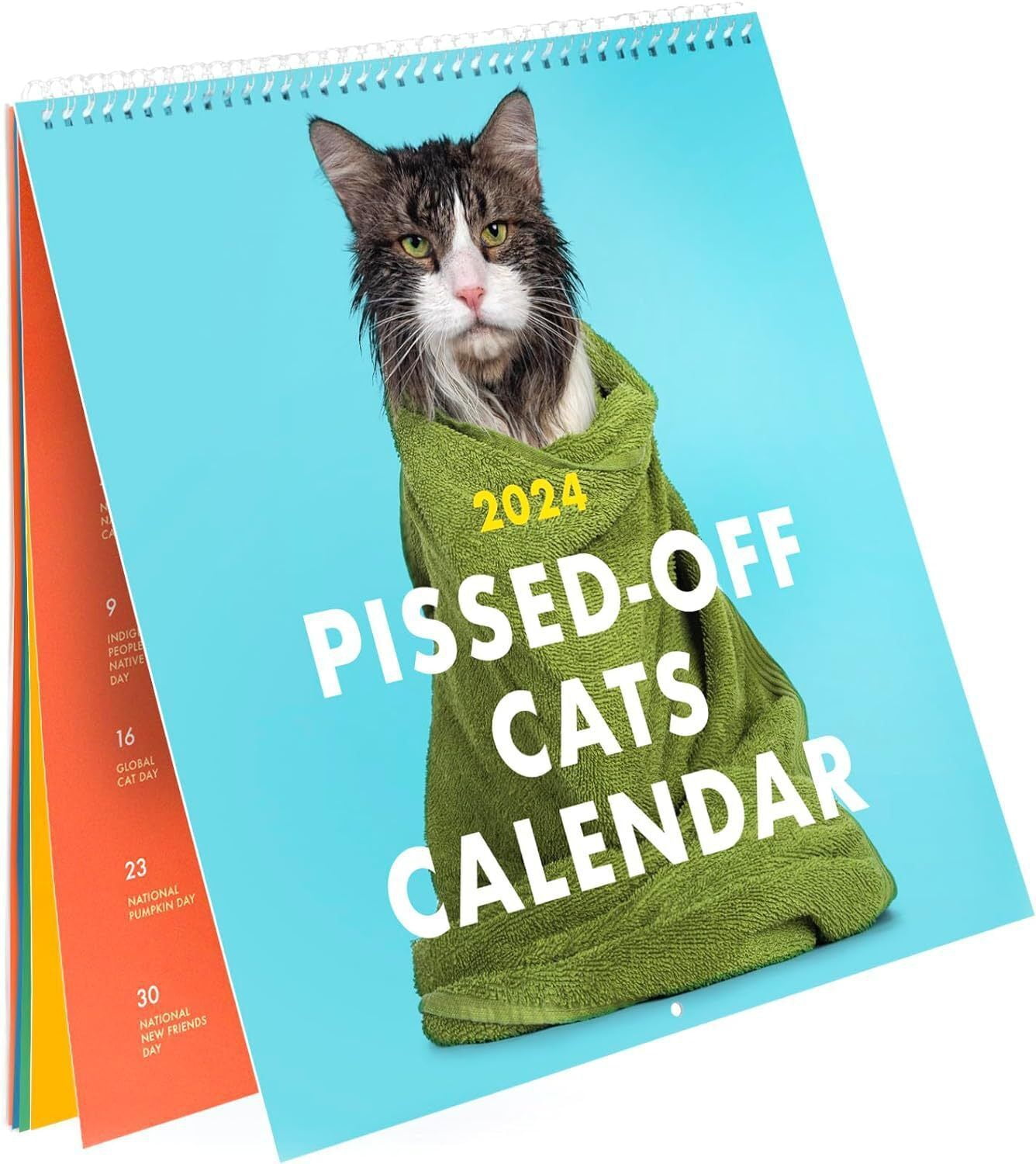 2024 PissedOff Cats Calendar / Funny Cat Wall Calendar