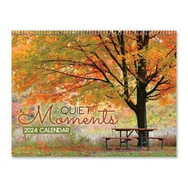 https://i5.walmartimages.com/seo/2024-Quiet-Moments-Wall-Calendar-12-x-9-Closed-Bookstore-Quality-Spiral-Bound-by-Current_d9eb9ccf-41bc-4041-b383-c4cd985d4d45.d6b602e75de645de3cf53d62a656b1a9.jpeg?odnHeight=264&odnWidth=264&odnBg=FFFFFF