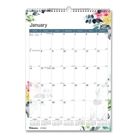 2024 Schneider 12 x 17 Yearly Colorful Wall Calendar Decorative White/Multicolor (REDC173126)