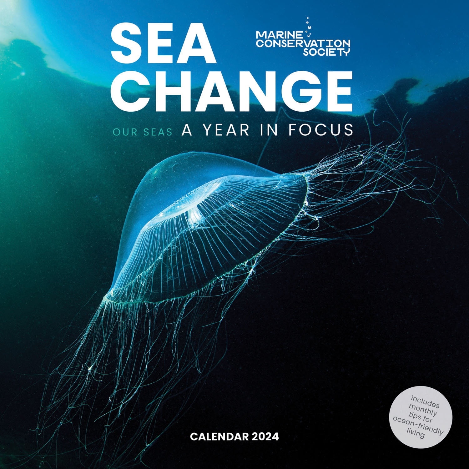 2024 Sea Change, Marine Conservation Society Wall Calendar (Calendar ...