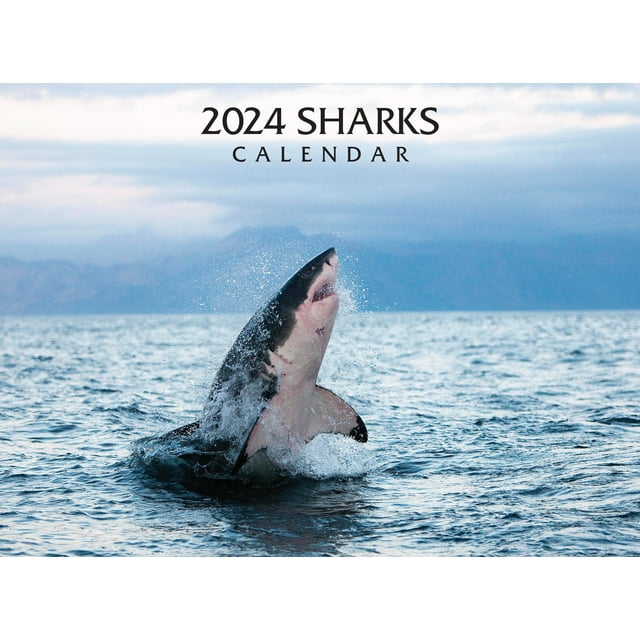 Sharks 2025 2025 Schedule Bernadette Simpson