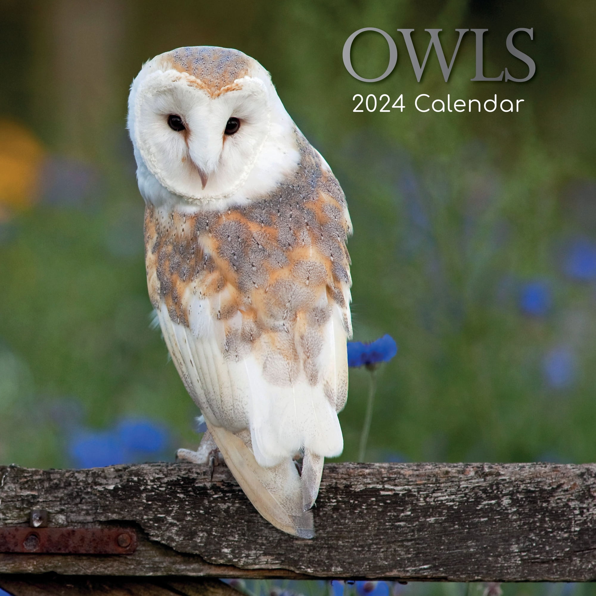 2024 Square Wall Calendar, Owls, 16Month Animals Theme with 180