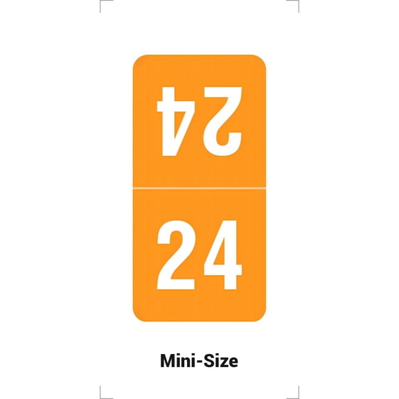 2024 Top Tab Year Stickers, Orange, Compatible with Smead, 2024 Chart Stickers, Made Year Labels for Top Tab File Folders, 500/Roll, 1 Roll, 1/2" x 1" - Small Labels