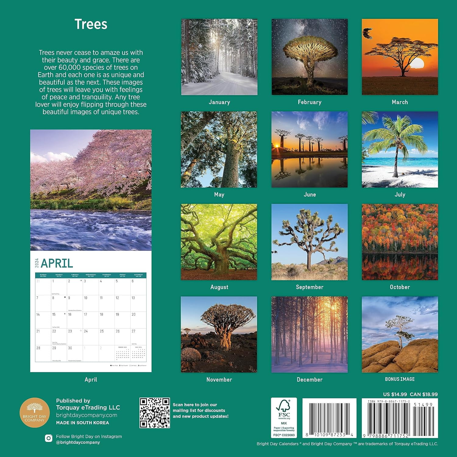 2024-trees-monthly-wall-calendar-by-bright-day-12-x-12-inch-forest