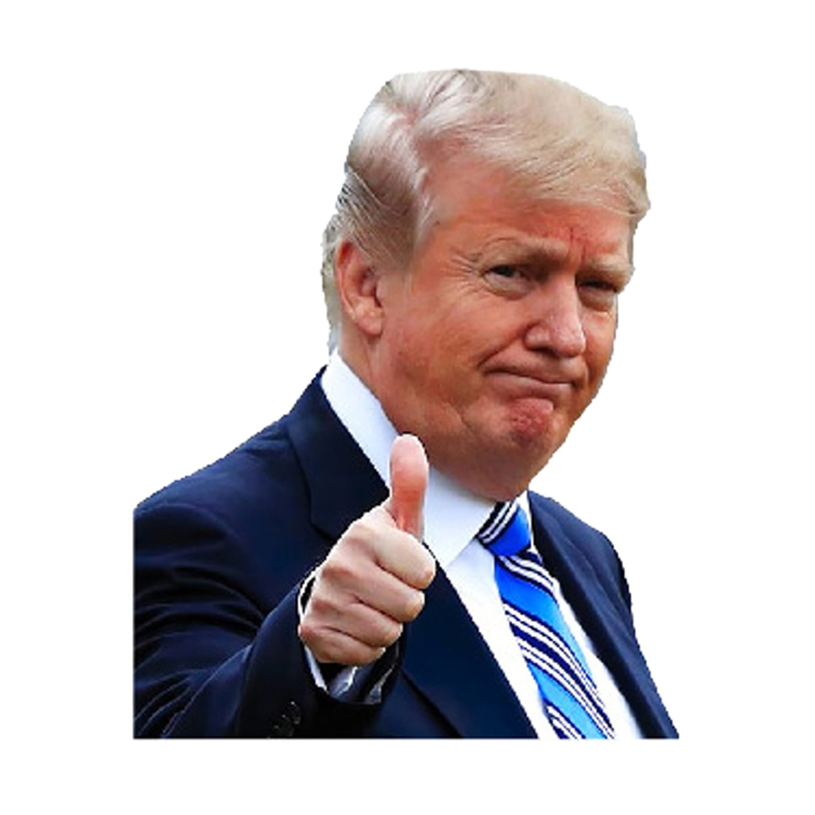 2024 US Presidential Election Car Decal Choice Display Window Sticker