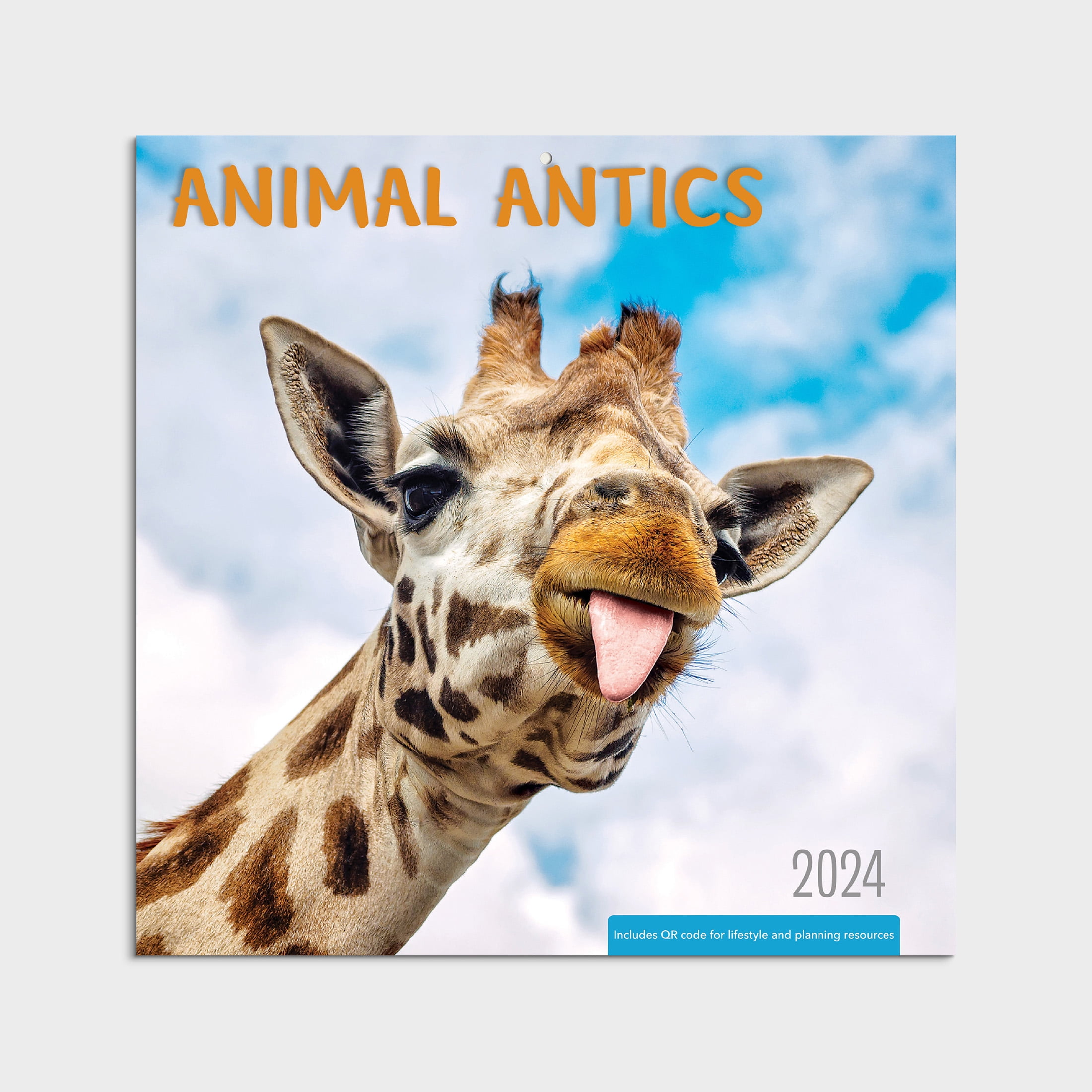 2024Wall CalendarAnimal Antics12x12 Hanging Wall Calendar by
