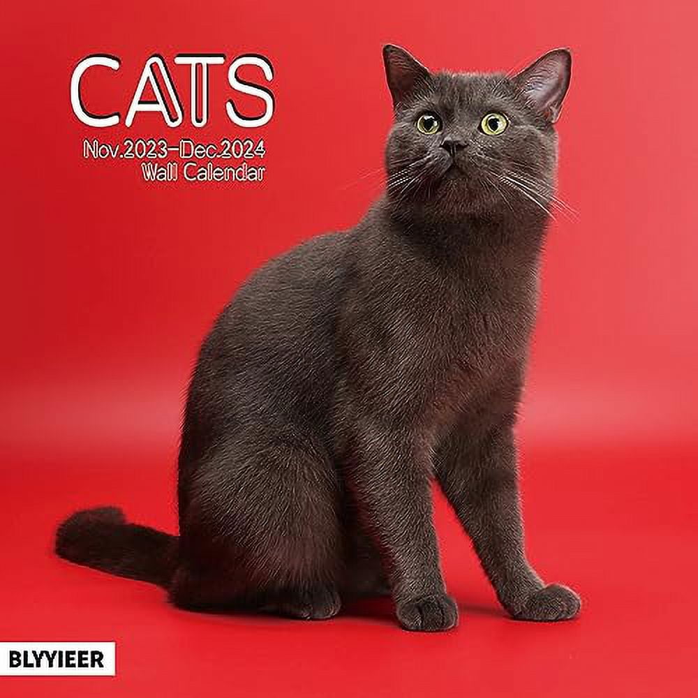 2024 Wall Calendar,Calendar 2024,Cats .. Monthly Wall Calendar, 12