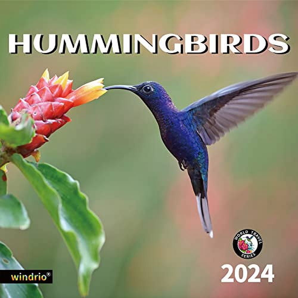 2024 Wall Calendar,Calendar 2024, November 2023 December 2024, Wall