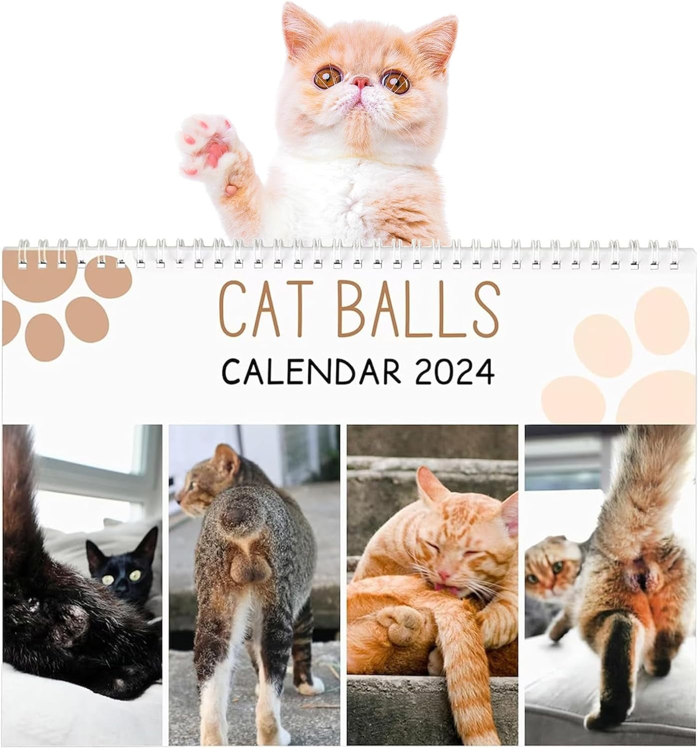 2024 Wall Calendar Cat Balls Calendar 2024, 12 Monthly Funny Cats