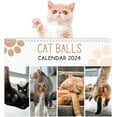2025 Wall Calendar Cat Balls Calendar 2025, 12 Monthly Funny Cats