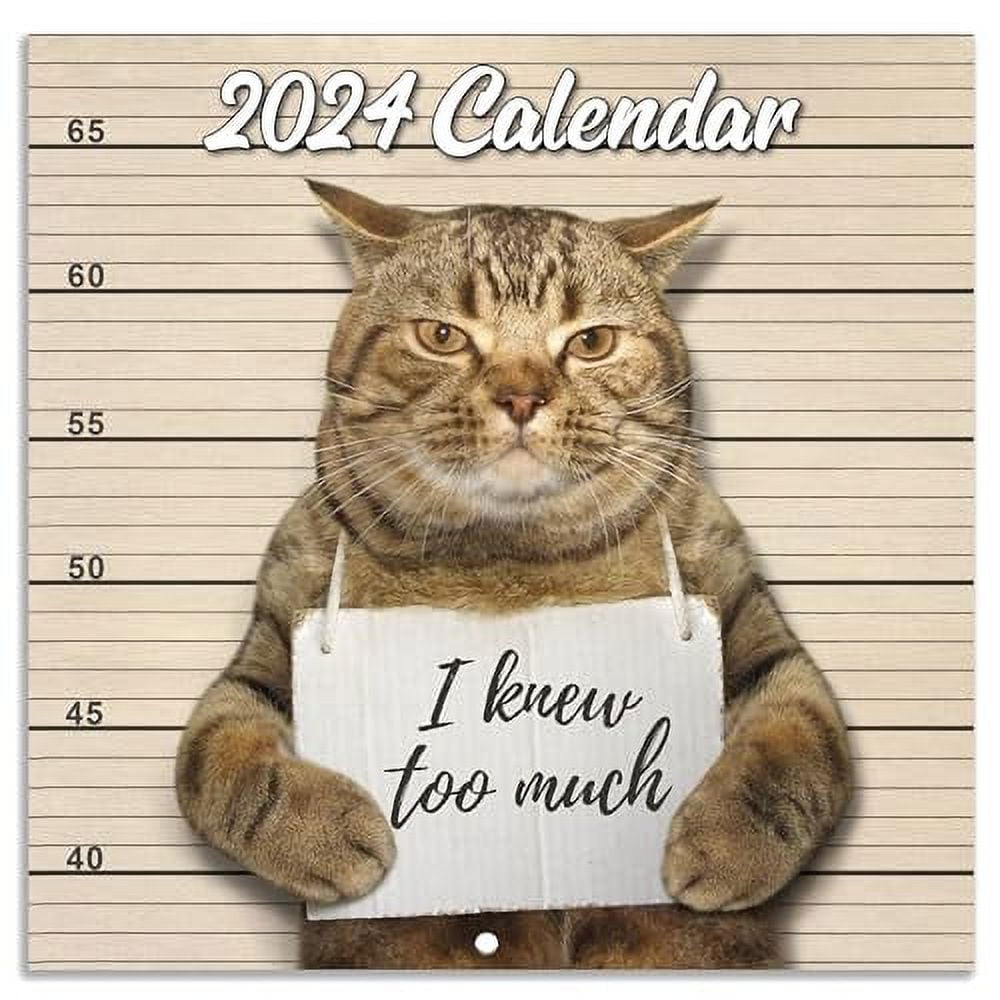 2024-wall-calendar-funny-cat-calendar-2024-january-2024-december-2024-wall-calendar-gag-gift-funny-cat-memes-pics-12-x-24-opened-best-for-white-elephant-gift-funny-prank-gift-walmart-com