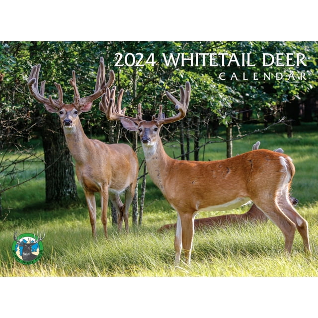 2024 Whitetail Deer Calendar