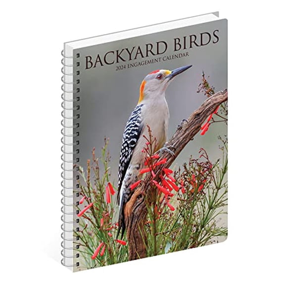 Pre-Owned 2024 Willow Creek Press Weekly Engagement Planner, 6-1/2" x 8-1/2", Backyard Birds, January To December