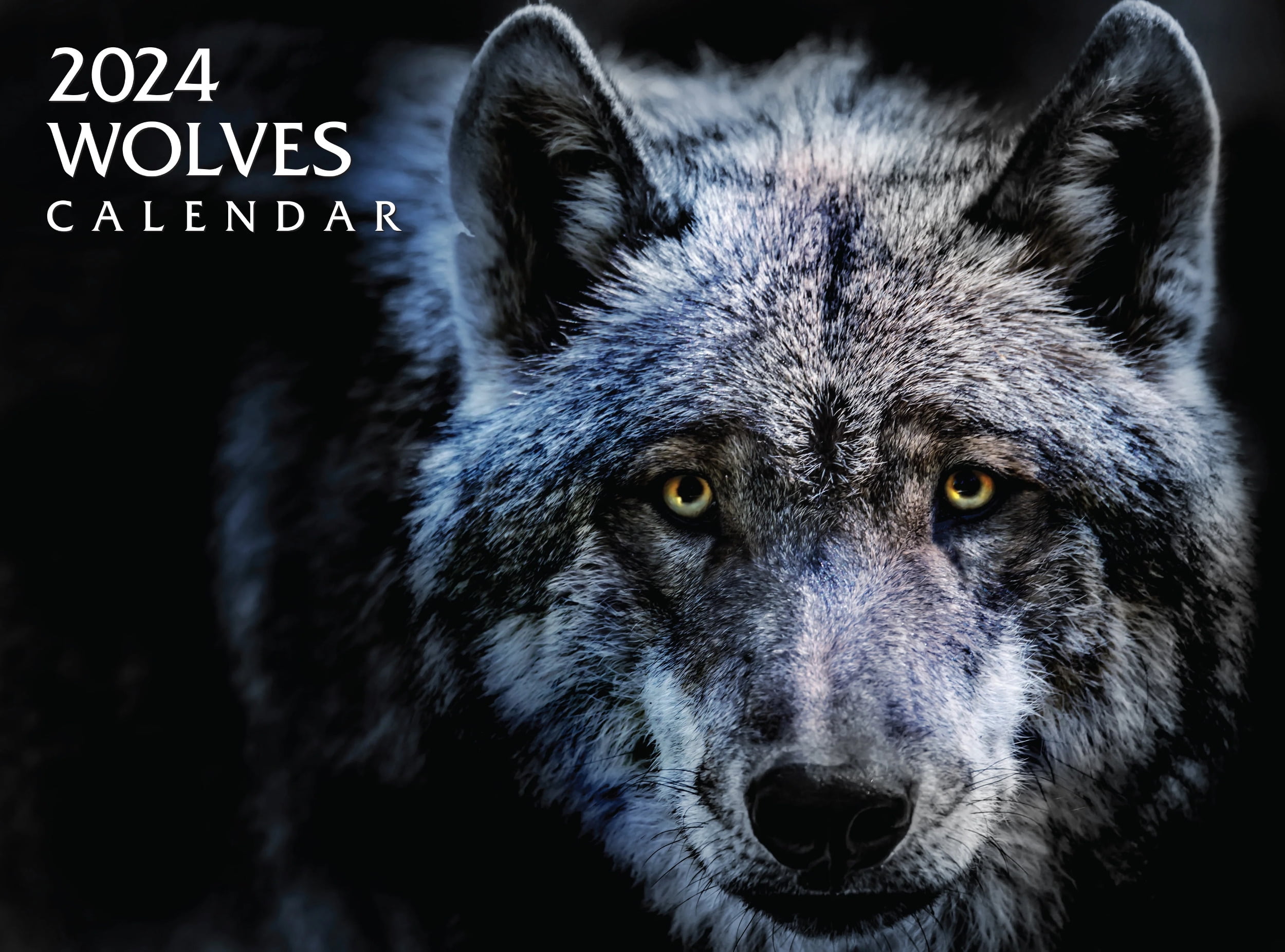 2024 Wolves Calendar
