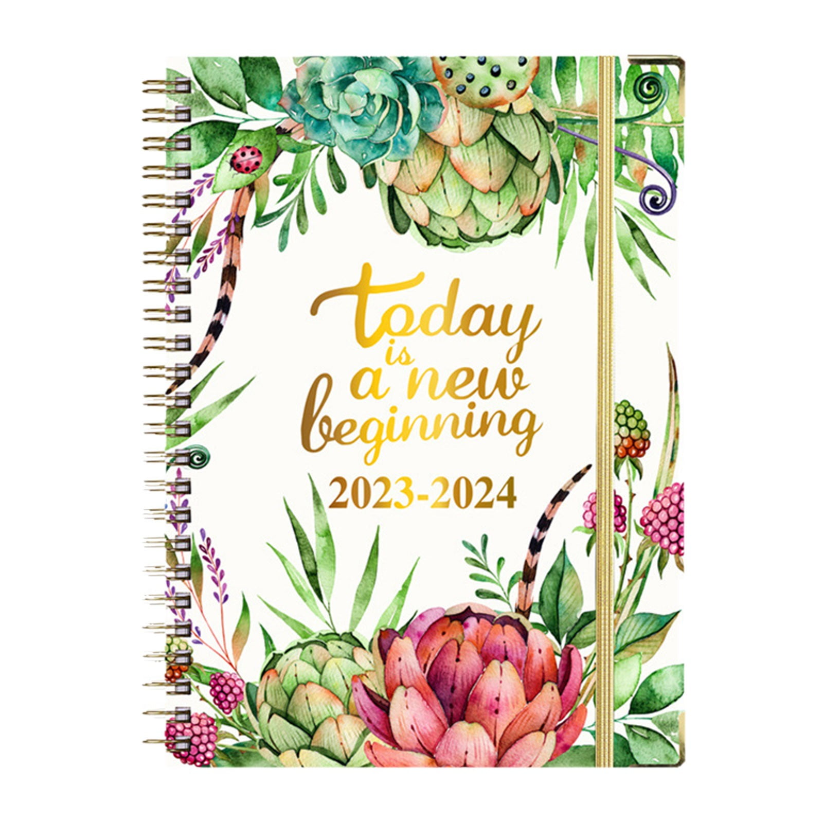 2024 to 2024 12 Monthly Planner Calendar Plan Notebook Color Cover