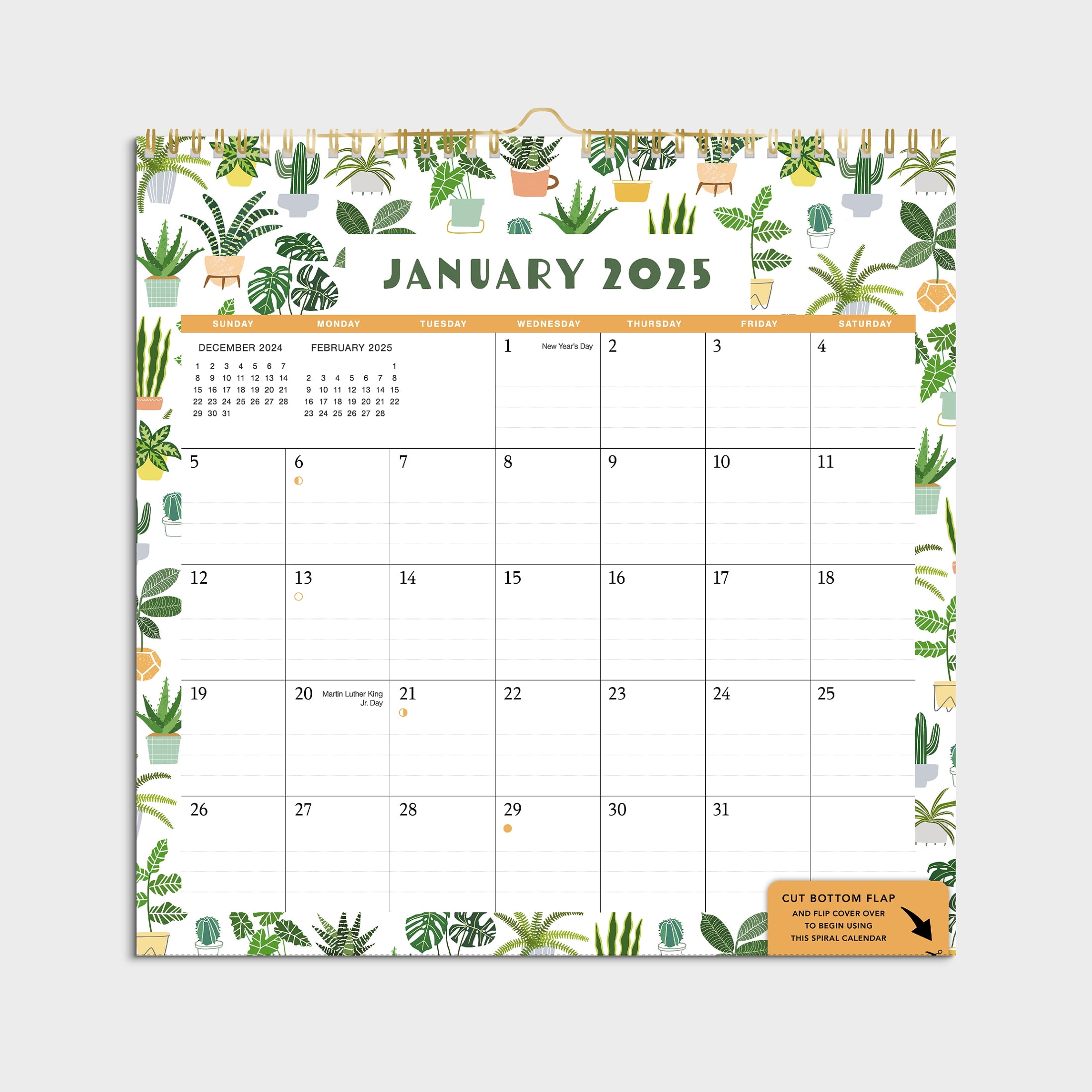 2025- 12 Month Cal-Spiral Succulents-12x12 Spiral Bound by Pen+Gear