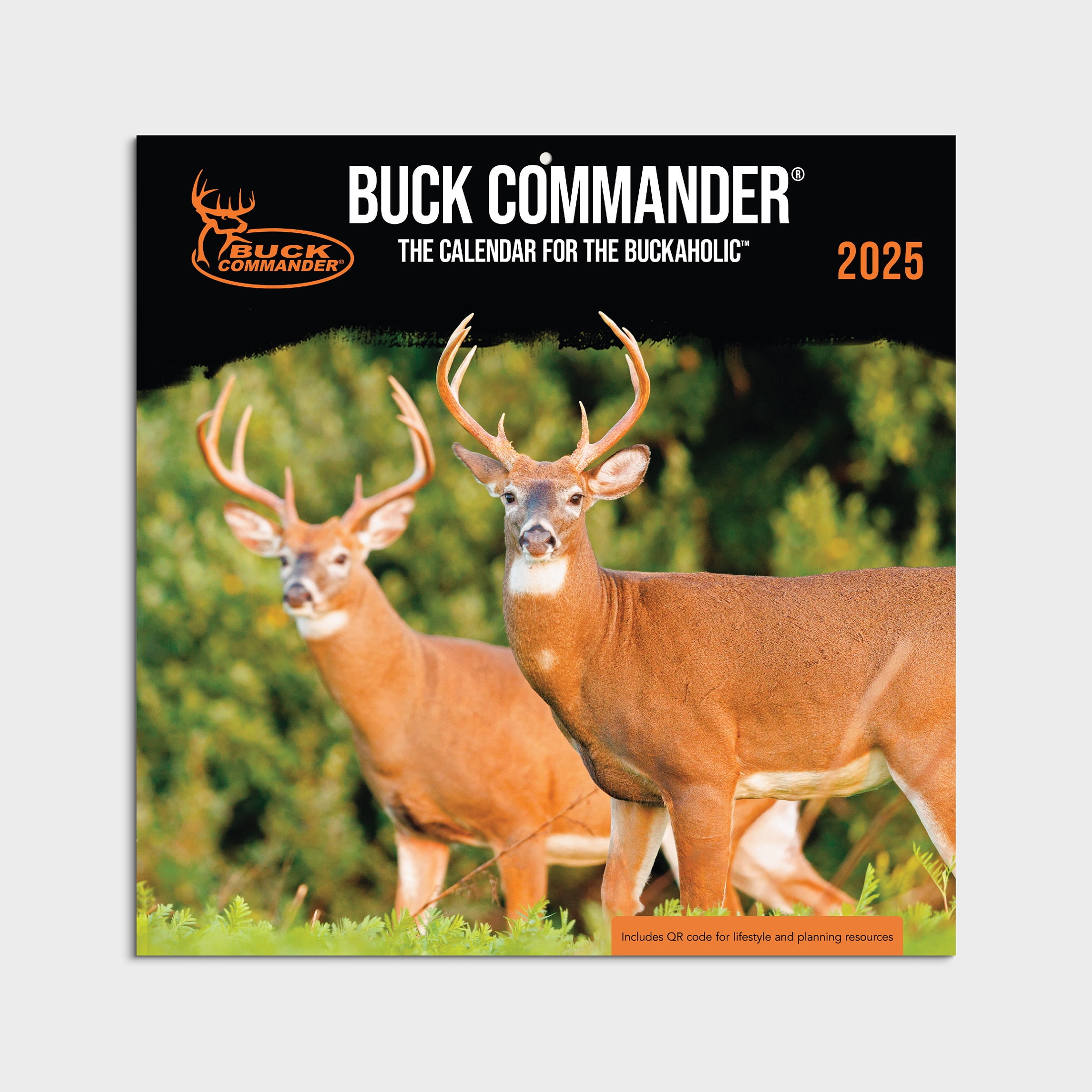 202512 Month Hanging Wall CalendarBuck Commander12x12 by Dayspring