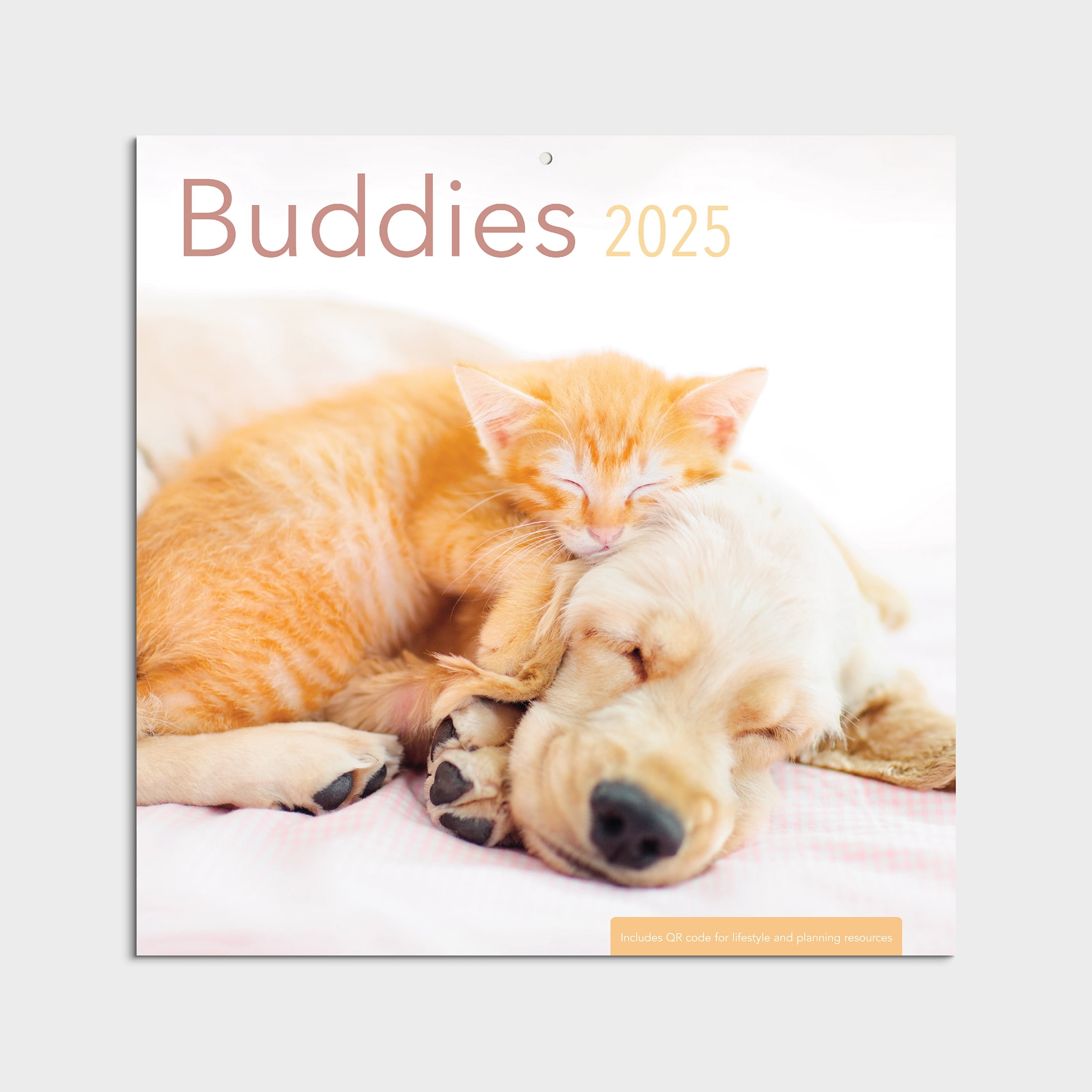 2025-12 Month Hanging Wall Calendar-Buddies -12x12 by Dayspring