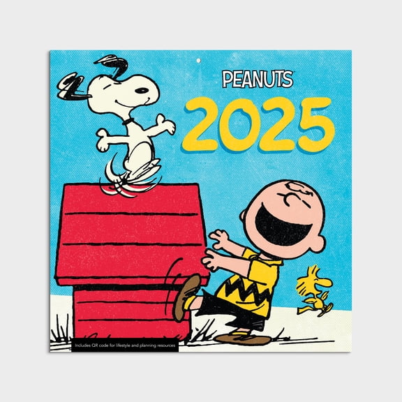2025-12 Month Hanging Wall Calendar-Peanuts-12x12 by Dayspring