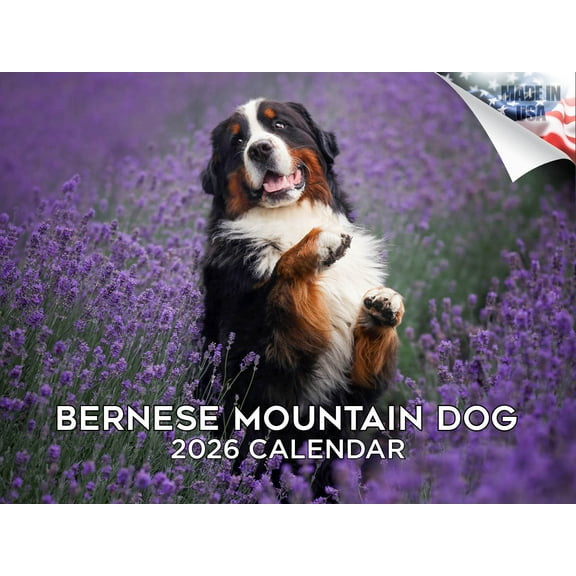 2025 2026 Bernese Mountain Dog Calendar - Dog Breed Monthly Wall Calendar - 12 x 18 Open - Thick No-Bleed Paper - Giftable - Made in USA