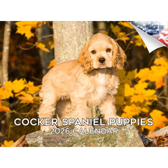 2025 2026 Cocker Spaniel Pups Calendar - Dog Breed Monthly Wall Calendar - 12 x 18 Open - Thick No-Bleed Paper - Giftable - Made in USA