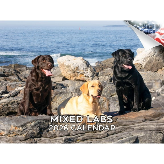 2025 2026 Labrador Mixed Calendar - Dog Breed Monthly Wall Calendar - 12 x 18 Open - Thick No-Bleed Paper - Giftable - Made in USA