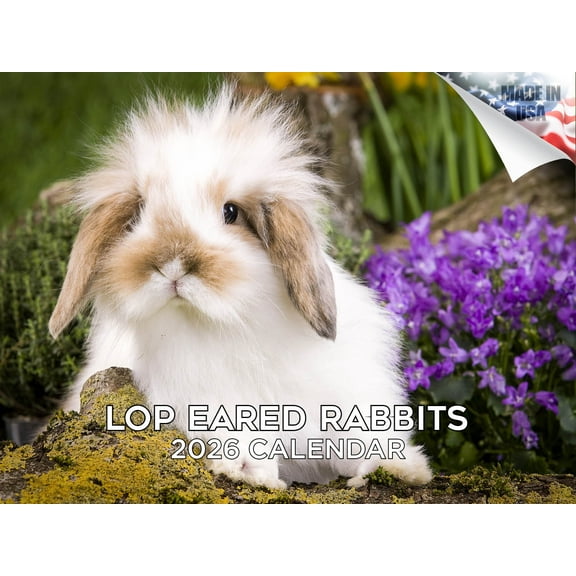 2025 2026 Lop Eared Rabbit Calendar - Cute Animal Monthly Wall Calendar - 12 x 18 Open - Thick No-Bleed Paper - Giftable - Academic Teacher's Planner Calendar Organizing & Planning