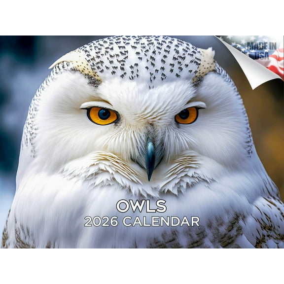 2025 2026 Owls Calendar - Birds Wildlife Monthly Wall Calendar - 12 x 18 Open - Thick No-Bleed Paper - Giftable - Academic Teacher's Planner Calendar Organizing & Planning