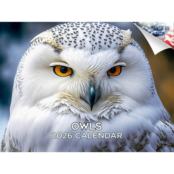 2025 2026 Owls Calendar - Birds Wildlife Monthly Wall Calendar - 12 x 18 Open - Thick No-Bleed Paper - Giftable - Academic Teacher's Planner Calendar Organizing & Planning